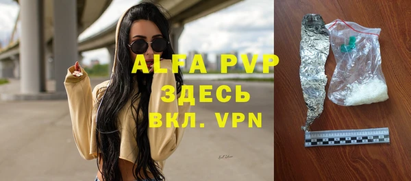 сатива Бородино