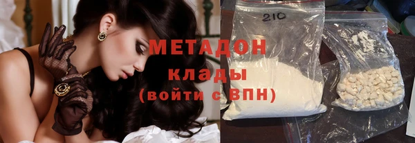 сатива Бородино