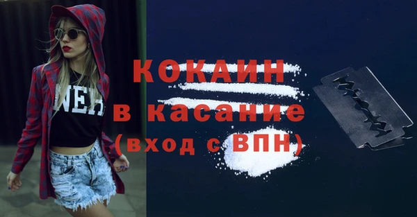 сатива Бородино