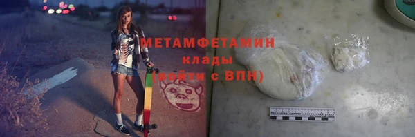 сатива Бородино