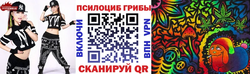 Купить закладки  Курильск  Псилоцибиновые грибы прущие грибы 